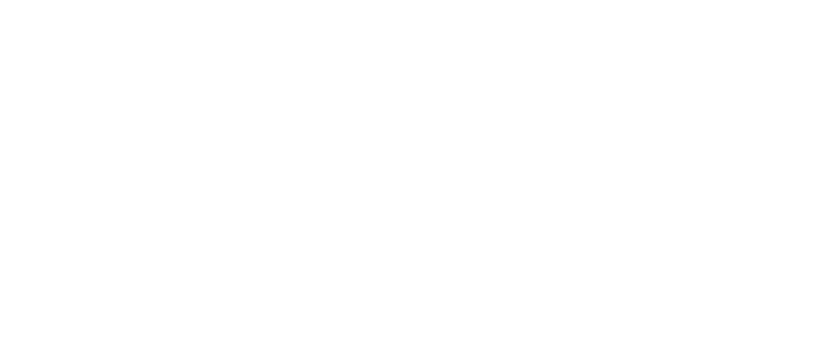 Windsor Spitfires