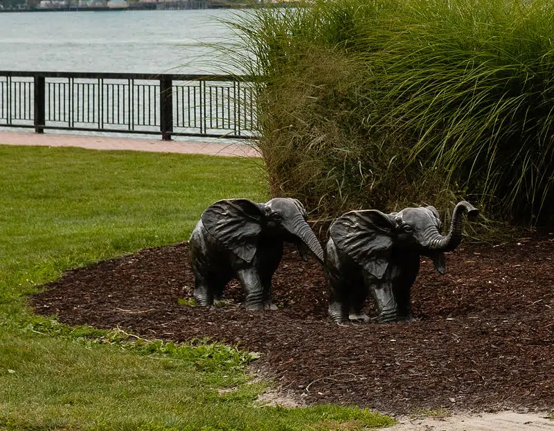 Elephants in the Windsor Sculpture Garden.